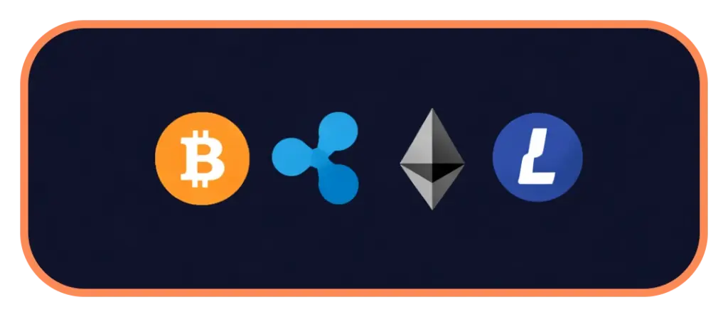Manekispin Crypto Payments with Bitcoin Ethereum Litecoin Fast Transactions